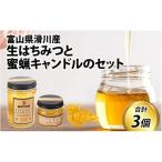 生はちみつと蜜蝋キャンドルのセット 天然