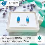 ピアス 陶磁器 Artopus.SHONAN