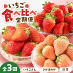 いちご 3品種食べ比べ IAP022