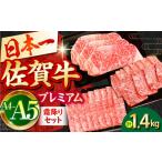 牛肉 サーロイン 2度の農林水産大臣賞 佐賀牛 プレミアム霜降りセット