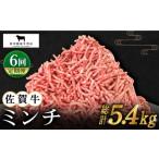 牛肉 ハンバーグ 全6回定期便 佐賀牛 ミンチ 900g