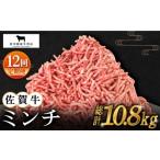牛肉 ハンバーグ 全12回定期便 佐賀牛 ミンチ 900g