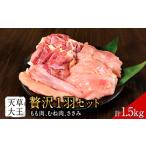 天草大王 贅沢1羽 セット 計1.5kg