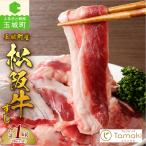 松阪牛すじ肉1kg