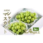 ふるさと納税 山形市産 シャインマスカット 秀 2房 1.4kg以上 【令和7年産先行予約】FU18-232 くだもの 果物 フルーツ 山形 山形県 山形市 2025.. 山形県山形市