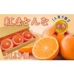 ふるさと納税 【先行予約】紅まどんな （赤秀・ 3Lサイズ3個入り）｜柑橘 愛媛 みかん マドンナ 愛媛県西条市
