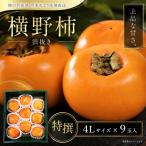 西条産 横野柿 渋抜き柿 特撰4Lサイズ×9玉