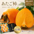 西条産 あたご柿 渋抜き柿 特撰4Lサイズ×10玉入