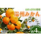 訳あり 果物 柑橘 フルーツ 蜜柑 うんしゅうみかん