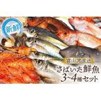 ふるさと納税 魚 富山湾直送 さばいた鮮魚セット 3〜4種 旬 新鮮 鮮魚 刺身 詰め合わせ 産地直送 冷蔵/くろべ漁業協同組合 魚の駅「生地」/富山.. 富山県黒部市