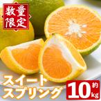 秀品 スイートスプリング 約10kg