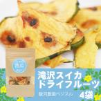 滝沢スイカ ドライフルーツ 20g