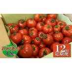 ハピトマ 12ヶ月定期便 機能性表示食品