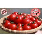 機能性表示食品 Hapitoma ハピトマ