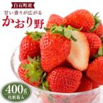 いちご かおり野 400g