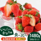 かおり野&いちごさん 定期便 いちご IBJ007