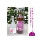 芋焼酎富の紅赤300mlと富の紅赤OIMOほっこりリキュールセッ…