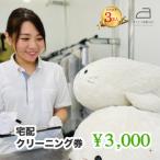 ネットで洗濯 クリーニング 券 3 000円分