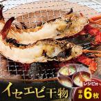 イセエビ干物セット 半身×6 海の直売所