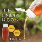 日本蜜蜂のはちみつ_調味料 はちみつ ハチミツ