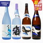 1795 海の蔵 大海酒造の飲み比べ セット