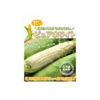とうもろこし ピュアホワイト L~2L 富良野産