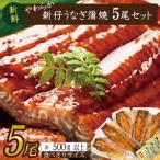 ショッピングうなぎ 蒲焼き 国内産 送料無料 ふるさと納税 やわらか国内産うなぎ蒲焼き！ 食べ切りサイズ100〜120g 5尾　計500g以上|うなぎ 鰻 蒲焼 食べ切り 茨城県 行方市(AD-103-1) 茨城県行方市
