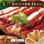 ショッピングうなぎ 蒲焼き 国内産 送料無料 ふるさと納税 やわらか国内産うなぎ蒲焼き！ 食べ切りサイズ100〜120g 4尾　計400g以上|うなぎ 鰻 蒲焼 食べ切り 茨城県 行方市(AD-104-1) 茨城県行方市