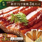 ショッピングうなぎ 蒲焼き 国内産 送料無料 ふるさと納税 やわらか国内産うなぎ蒲焼き！ 食べ切りサイズ100〜120g 3尾　計300g以上|うなぎ 鰻 蒲焼 食べ切り 茨城県 行方市(AD-105-1) 茨城県行方市