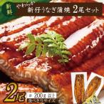 ショッピングうなぎ 蒲焼き 国内産 送料無料 ふるさと納税 やわらか国内産うなぎ蒲焼き！ 食べ切りサイズ100〜120g 2尾　計200g以上|うなぎ 鰻 蒲焼 食べ切り 茨城県 行方市(AD-106-1) 茨城県行方市