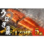 ふるさと納税 ふっくら肉厚 有頭 うなぎ蒲焼 5尾 1250g SF011-2 福岡県須恵町