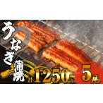 ふるさと納税 ふっくら肉厚 うなぎ蒲焼 5尾 1250g SF011-2 福岡県須恵町