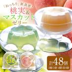 桃実 マスカットゼリー 計48個セット こんにゃく