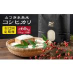 糸島 で 農薬 を使わずに育てた 山つき 糸島米 5kg