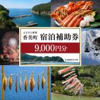 宿泊補助券 町内 共通 9000円分
