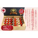 大満足4種食べ比べセット とちおとめ ミルキーベリー
