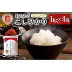3-R おおあさ こしひかり 1kg×4袋