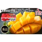 ショッピングふるさと納税 マンゴー ふるさと納税 【2026年発送】奄美大島産　完熟マンゴー 約1キロ（2〜3玉）| マンゴー 鹿児島県瀬戸内町