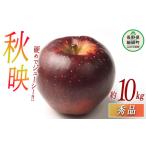 ふるさと納税 りんご 秋映 秀 10kg 光センサー選別品 ながの農業協同組合 2025年10月上旬頃から2025年10月下旬頃まで順次発送予定 令和7年度収穫.. 長野県飯綱町