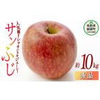 りんご サンふじ 秀 10kg