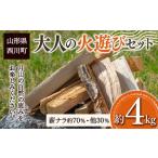 ふるさと納税 FYN9-540 大人の火遊びセット 薪 約4kg (ナラ 楢 約2.8kg / ほうのき・山桜など 約1.2kg) キャンプ アウトドア 乾燥薪 焚火 ソロキ.. 山形県西川町