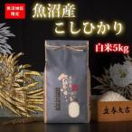 ふるさと納税 【令和7年産】魚沼産コシヒカリ【白米5kg】【米 お米 こしひかり 南魚沼 米 白米 こめ 新潟 米】 新潟県