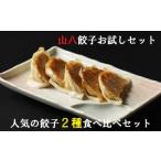 山八餃子お試しセット★の餃子2種食べ比べセット