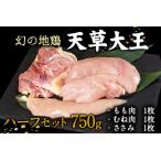 鶏肉 天草大王 750g