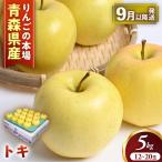 産りんご サンふじ&王林 セット 約5kg