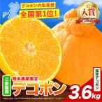 デコポン 露地 3.6kg