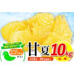甘夏みかん 10kg