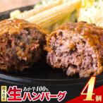 fu.... налог Kumamoto префектура производство .. корова 100% сырой гамбургер 140g×4 шт {30 дней в течение отгрузка предположительно ( суббота, воскресенье и праздничные дни за исключением )} Kumamoto префектура производство .. корова bai King беж ka Lee рефрижератор Kumamoto префектура Цу . дерево блок 