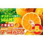デコみかん 訳あり 5kg