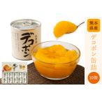 デコポン 甘夏缶詰セット計10缶入り あしきた農業協同組合